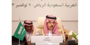 وزراء الخارجية العرب: وقف الحرب على غزة أولوية قصوى ومطلقة وتقديم جميع أشكال الإغاثة ومواجهة مخططات تهجير سكان القطاع