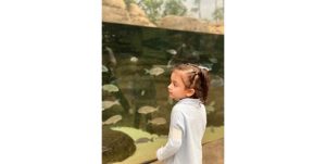 مستكشفو «الملكية البريطانية» الصغار في رحلة إلى الأكواريوم بالمركز العلمي