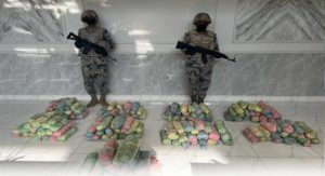 حرس الحدود بجازان يحبط محاولة تهريب 90 كيلوغراما من نبات القات