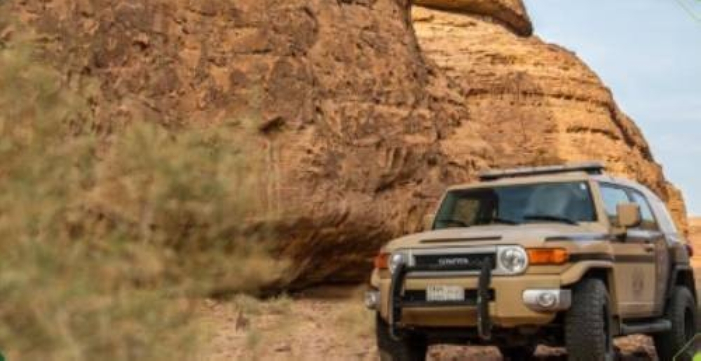 «الأمن البيئي» يضبط مخالفاً لاقتلاعه 24 شجرة دون ترخيص