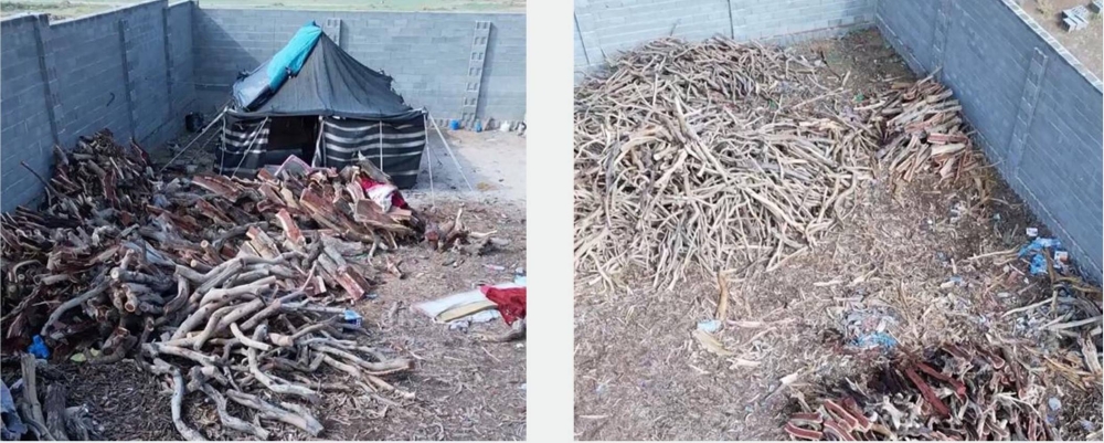 القصيم: ضبط موقع مخالف لتخزين الحطب المحلي