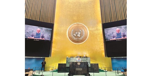 الكويت: قرارنا الأممي حول «الحثل العضلي الدوشيني» علامة «فارقة» للمصابين بالأمراض النادرة