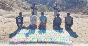 عسير: القبض على 5 «مخالفين» لتهريبهم «القات»