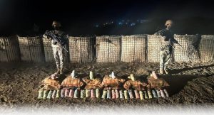 «حرس الحدود» بجازان يحبط تهريب 180 كيلوغرام «قات»