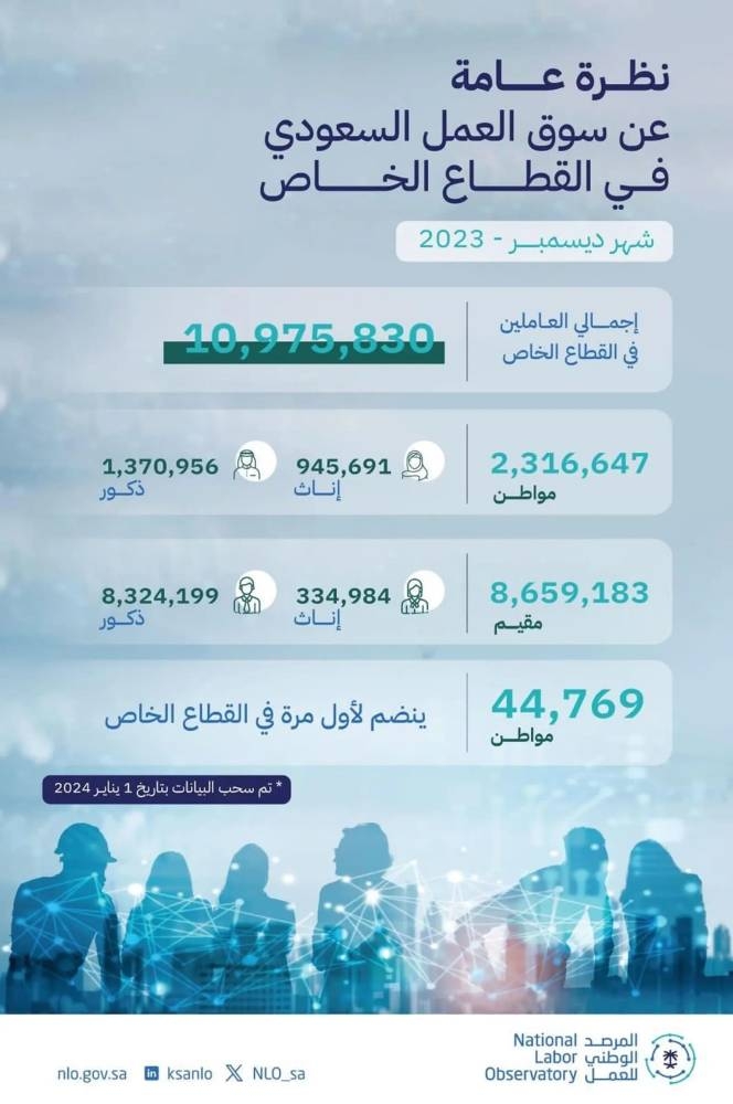 المرصد الوطني للعمل: ارتفاع إجمالي العاملين في القطاع الخاص إلى 10.9 مليون خلال شهر ديسمبر