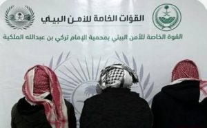 ضبط 3 مخالفين لنظام البيئة بمنطقة الحدود الشمالية