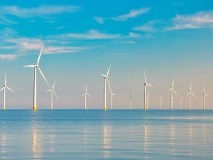غوغل تشتري أكبر مزرعة رياح بحرية بهولندا لتوليد الطاقة النظيفة