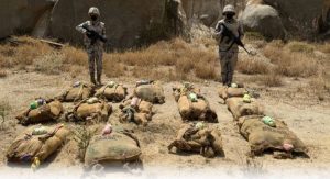 «حرس الحدود» بجازان يحبط تهريب (200) كيلوغرام من نبات القات