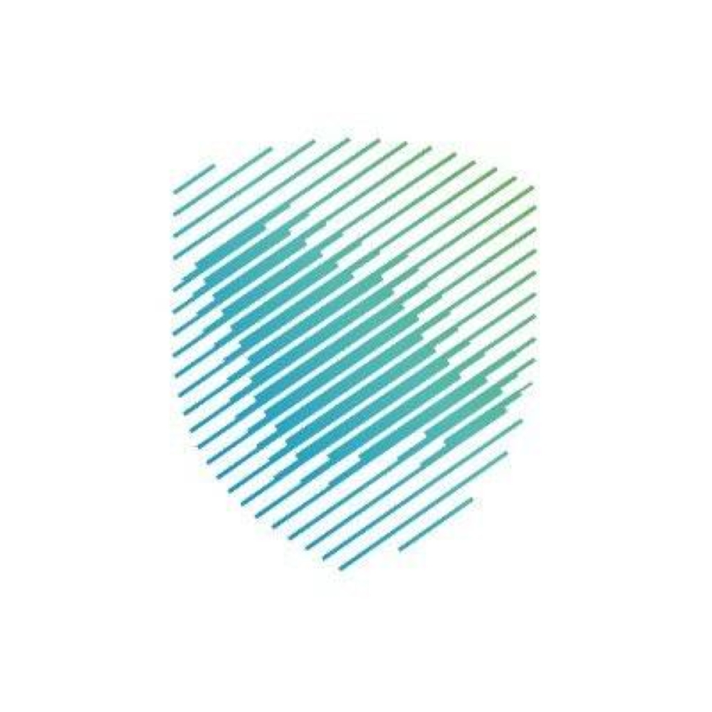 مجلس الوزراء ينقل ترخيص «الاستشارات الجمركية» إلى الجمارك
