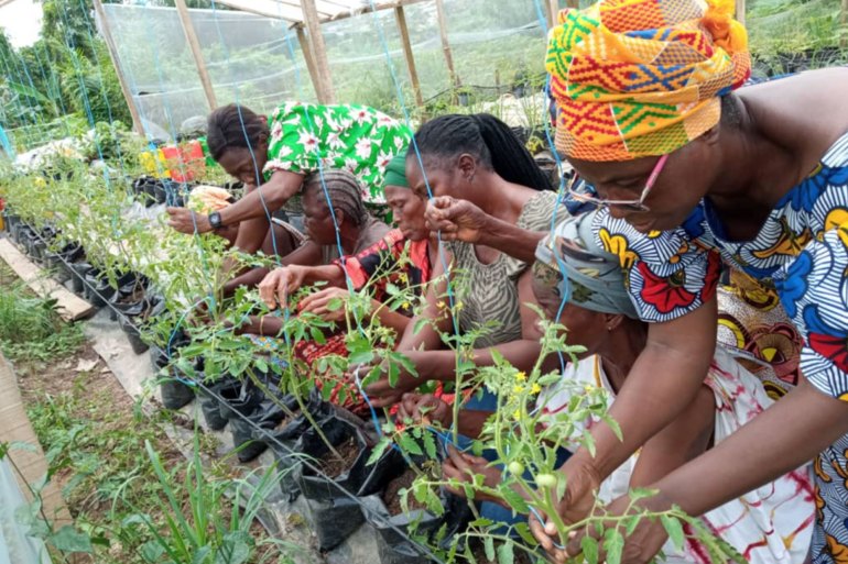 Women migrants in Anyama benefit from capacity-building in soil-free agriculture. Photo: JVE Côte d'Ivoire