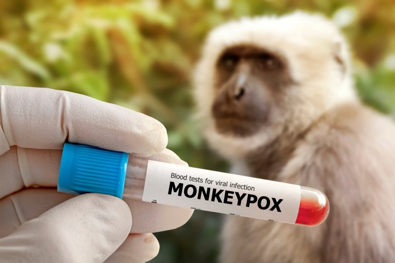 Monkeypox new disease dangerous over the world.