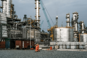 من الكاكاو إلى الشوكولاتة: قصة التحول الصناعي في غرب أفريقيا