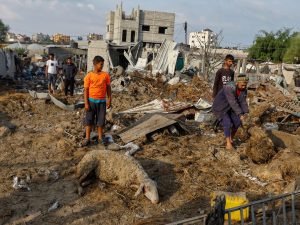 الفاو: إسرائيل دمرت 95% من الأراضي الزراعية في غزة