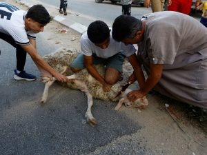“دعوا إلى تعميمها”.. مغردون يرحبون بفتوى الديار الليبية بالتبرع بثمن الأضاحي لغزة