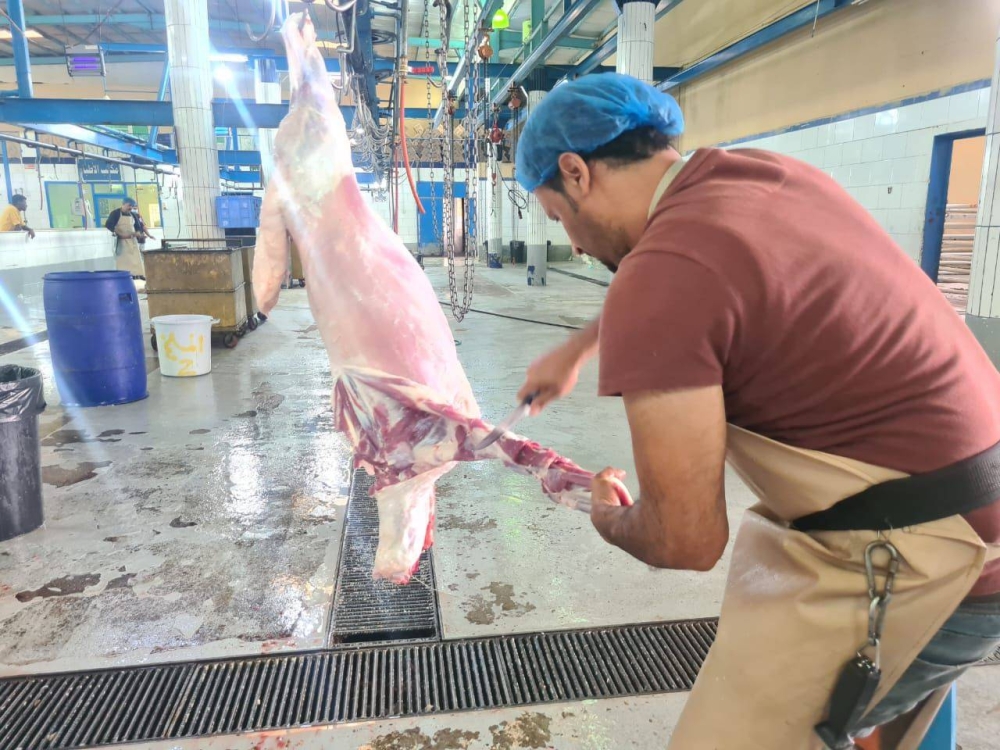 عسير: 18,223 أضحية.. وإتلاف 602 كغم.. وتحرير 25 مخالفة