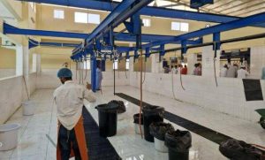 6,594 أضحية في مسالخ نجران خلال عيد الأضحى