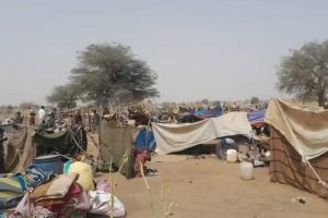 13 قتيلا و42 جريحا في قصف لـ«الدعم السريع» على الفاشر