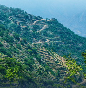 الدفاع المدني يحذر من إشعال النار بأماكن غير مخصصة لها