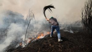 إسبانيا والبرتغال: حرائق الغابات تلتهم مساحات واسعة والسلطات تستنفر آلاف رجال الطوارئ وتُجلي السكان