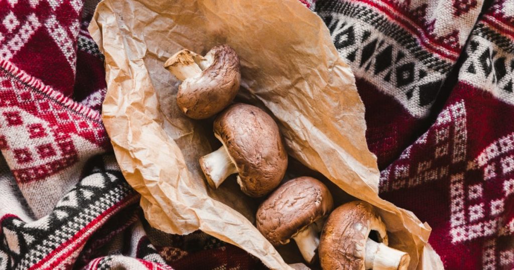 طعام الأزمات الصامت.. كيف أصبح الفطر غذاء البقاء في الكوارث والمجاعات؟