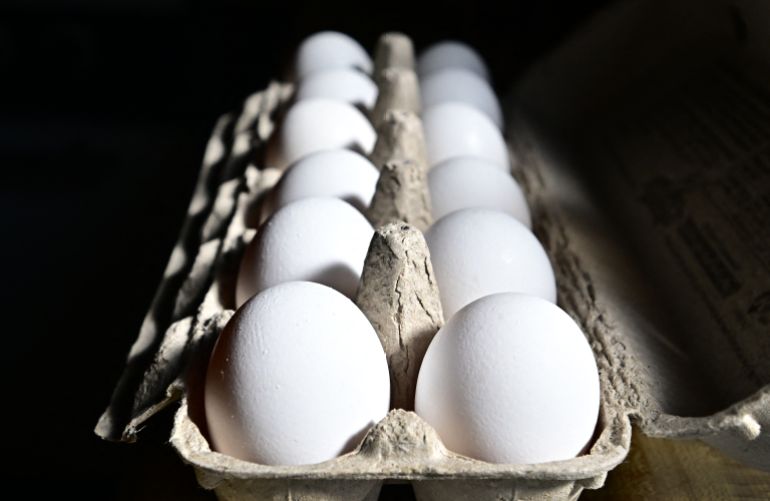 (FILES) A dozen eggs are seen in a carton on February 10, 2025 in Monterey Park, California. A farm animal business in Houston sold 100 hens in four days, a number they usually reach in a month. With the price of eggs skyrocketing, several Americans prefer to get theirs at home. The recent outbreak of avian flu, which first hit the US in 2022, is hitting large poultry farms hard. More than 21 million laying hens have been culled this year due to the disease, according to data released by the Department of Agriculture. In December, 13.2 million suffered the same fate. (Photo by Frederic J. BROWN / AFP)
