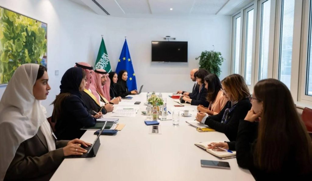 وزير الاقتصاد والتخطيط يلتقي مسؤولين دوليين