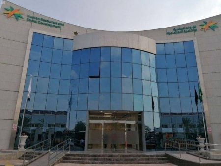 توطين 44 مهنة محاسبية جديدة في القطاع الخاص