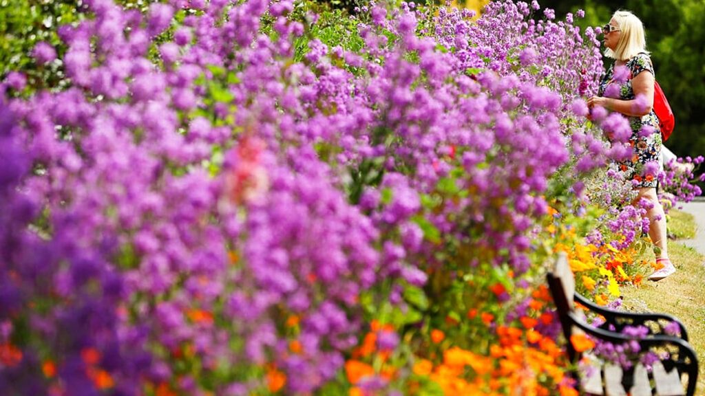 دبلن تزيل اسم حاييم هرتسوغ من حديقة عامة.. وإسرائيل تتهمها بـ”معاداة السامية”