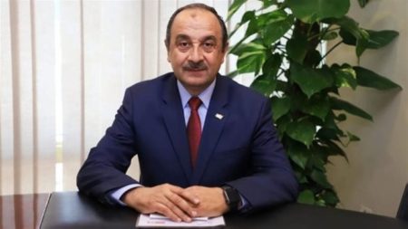 شيمي: مصر تدمج 32 شركة غزل في 7