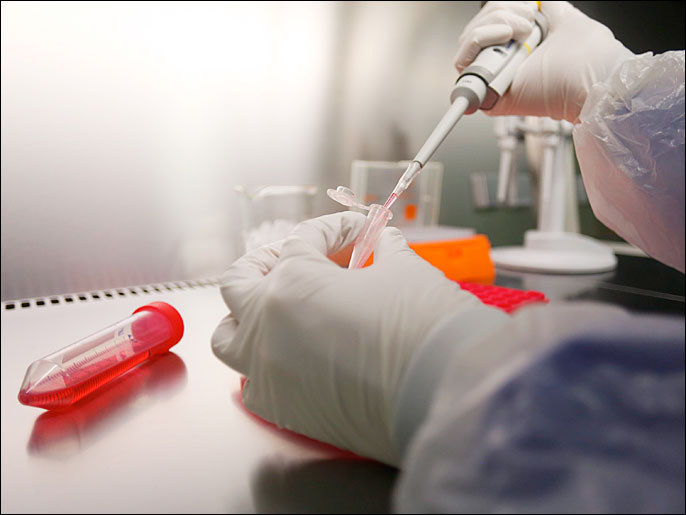 Dr. Doreen Muth from the virology institute of the Bonn Faculty of Medicine works under a flow head at a clean bench in a biosafety level three (BSL-3) laboratory in the western German city of Bonn May 31, 2013. The virology institute of the Bonn university researches on viruses with the help of bat and human cell culture models and reverse genetic systems for corona viruses (SARS-Coronavirus, HCoV-NL63) to characterize and compare the functions of homologous viral proteins from newly identified viruses. Picture taken May 31, 2013. REUTERS/Wolfgang Rattay (GERMANY - Tags: SCIENCE TECHNOLOGY HEALTH)
