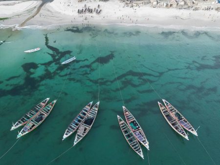 بلومبيرغ: روسيا تتجه إلى استغلال ثروات أفريقيا السمكية