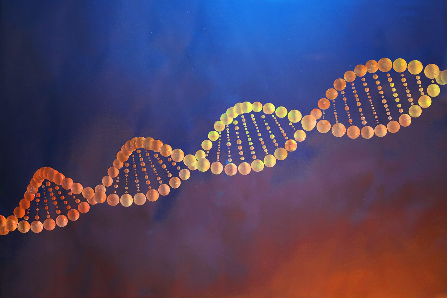 فرنسيون يختبرون الحمض النووي لمعرفة “سبب” الموت وتجنبه