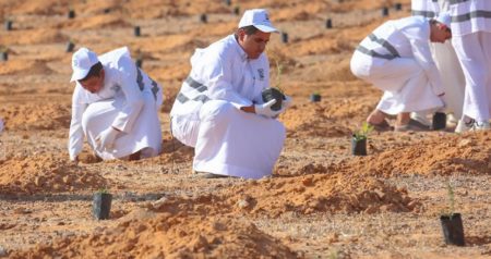 هيئة تطوير محمية الملك سلمان الملكية تنظم مبادرة لزراعة 3000 شتلة