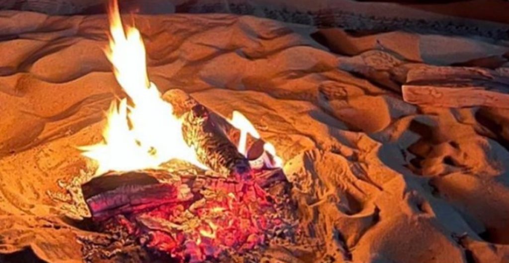 الأمن البيئي يضبط مواطنًا مخالفًا في المنطقة الشرقية