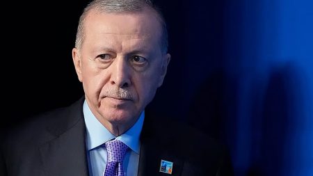 أردوغان ونظيره الجورجي يبحثان ملابسات تحطم الطائرة التركية المنكوبة
