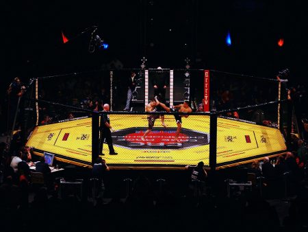 وفاة مصارع فنون قتال مختلطة بعد انهياره داخل الحلبة