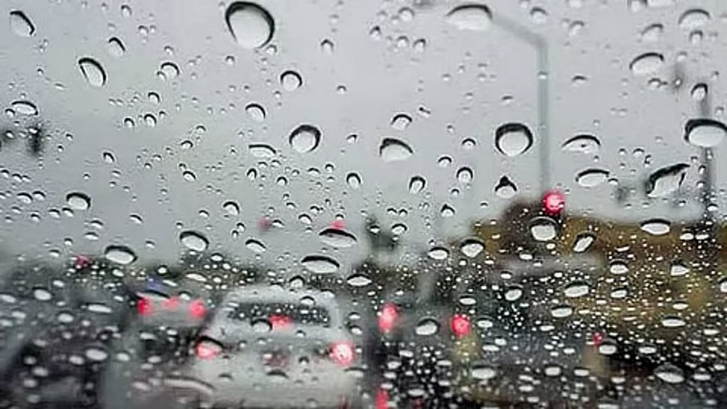 حالة تستمر حتى 8 مساءً .. "الأرصاد": أمطار متوسطة على منطقة جازان