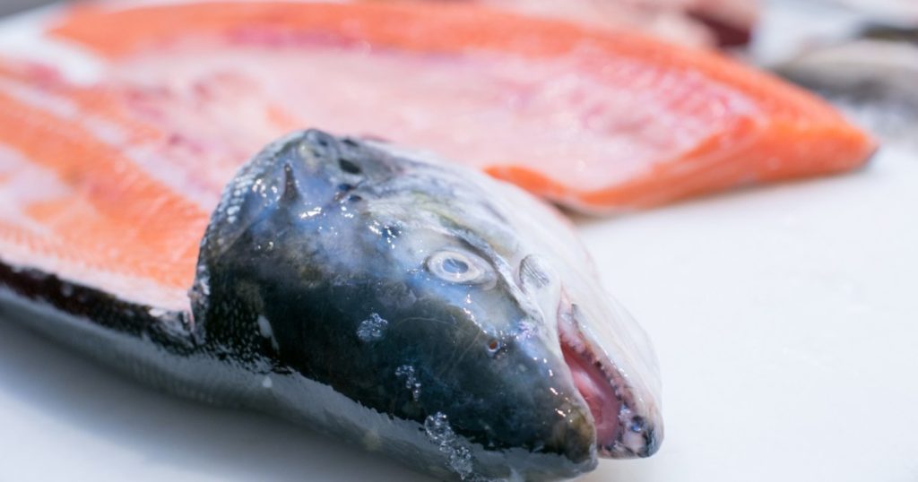 أوميغا 3.. صديقة قلبك