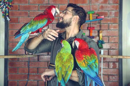 مستقبل الحكيم في تربية الطيور