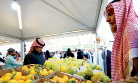 موسم الحمضيات في السعودية: إنتاج وفير يدعم الاقتصاد المحلي