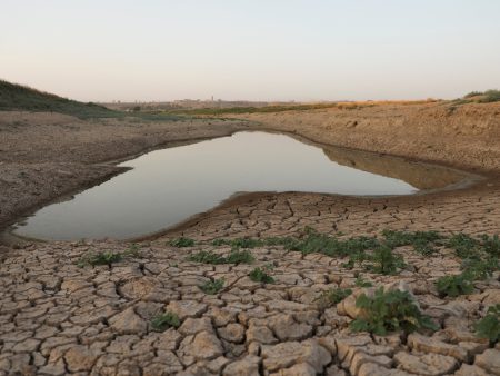 أسوأ موجة جفاف في سوريا تهدد بانعدام الأمن الغذائي
