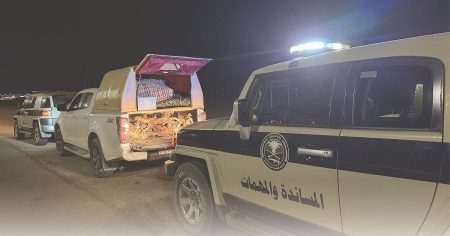 دوريات المجاهدين تضبط مواطنًا يبيع حطبًا محليًا مخالفًا في حائل