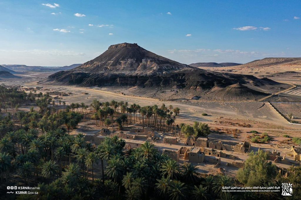 "قرية كاف" شاهد أثري داخل "محمية الملك سلمان" بالجوف