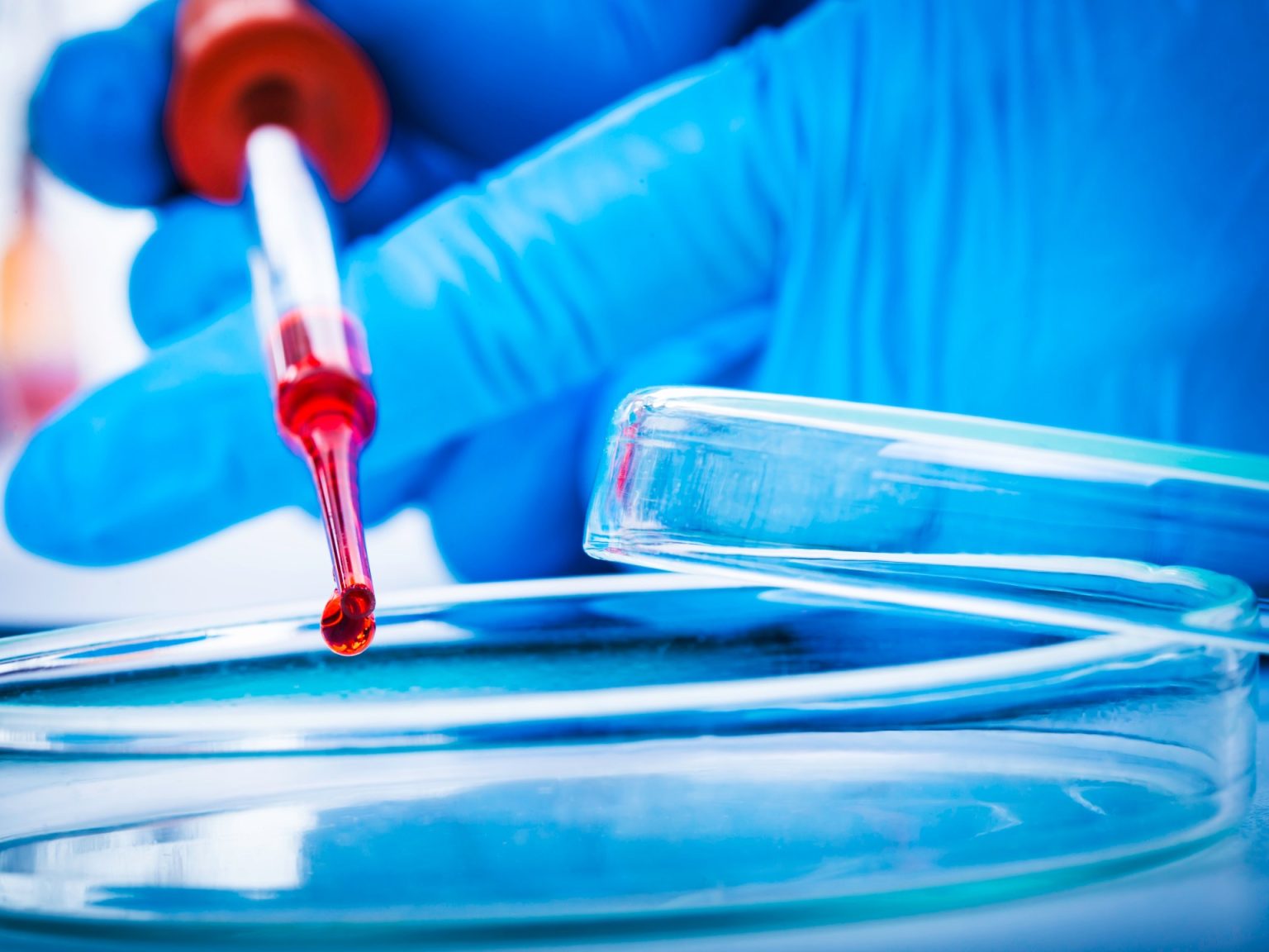 عام يرحل وآمال تتجدد.. إلام يطمح الباحثون العرب في 2026؟