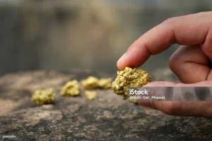 «معادن» تعزز مخزونها بإضافة 7.8 مليون أوقية عبر 4 مواقع جديدة – أخبار السعودية