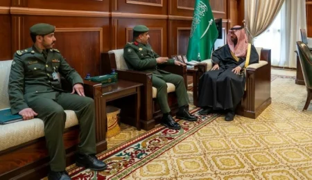 نائب أمير حائل يستقبل مدير الجوازات بالمنطقة المكلّف حديثاً – أخبار السعودية
