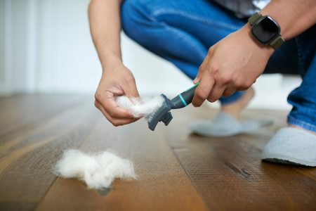 أسرار إزالة وبر الحيوانات المستعصي من الملابس والمفروشات