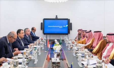مجلس التنسيق السعودي المصري: تعزيز الشراكة الاستراتيجية