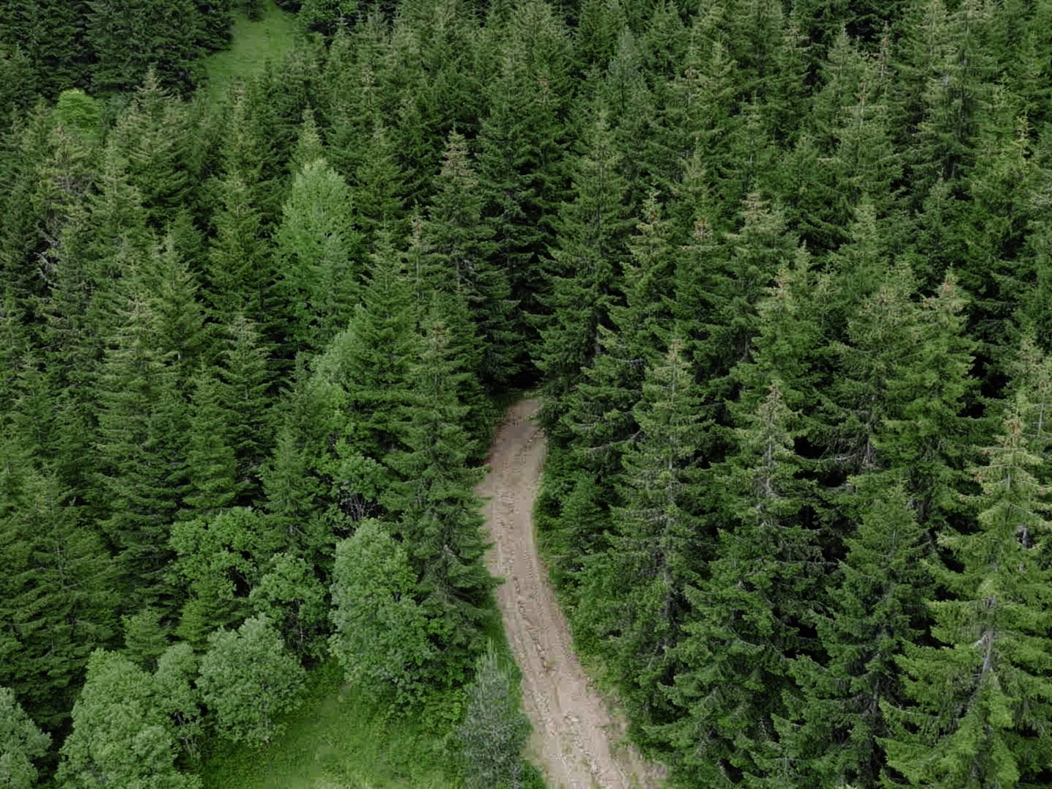 علماء ينقلون إلى البشرية درسا عمره 56 مليون سنة