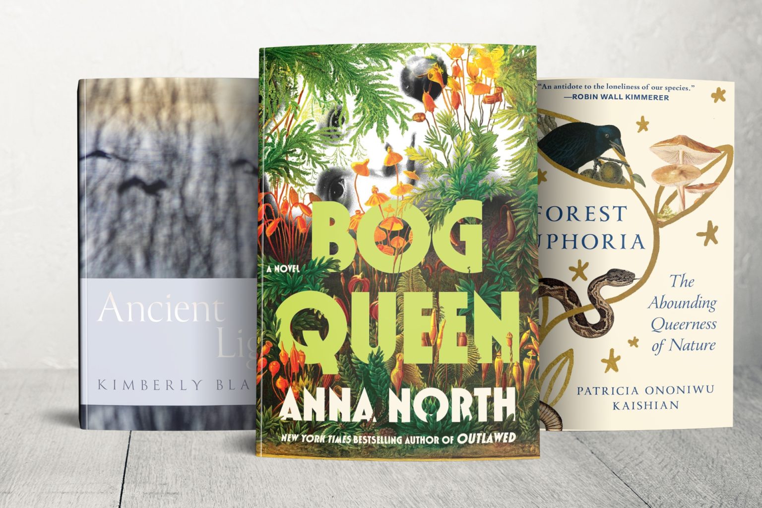 مزجوا العلم بالأدب.. 3 كُتّاب يحصدون جوائز مرموقة في نيويورك